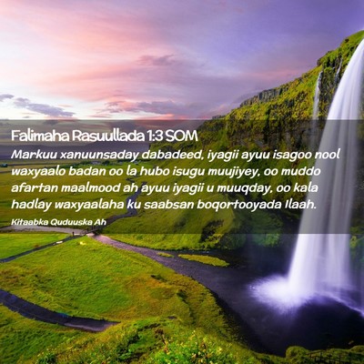 Picture 02 - Falimaha Rasuullada 1:3 SOM - Markuu xanuunsaday dabadeed, iyagii ayuu isagoo - Bible Verse Picture