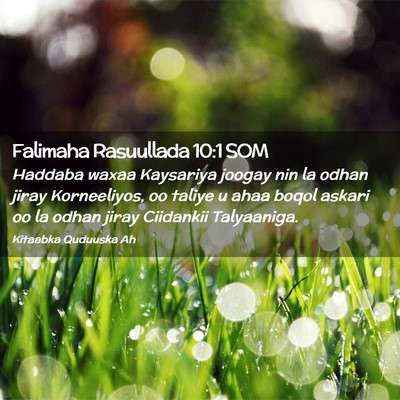 Picture 02 - Falimaha Rasuullada 10:1 SOM - Haddaba waxaa Kaysariya joogay nin la odhan jiray - Bible Verse Picture