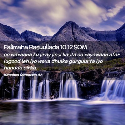 Picture 02 - Falimaha Rasuullada 10:12 SOM - oo waxaana ku jiray jinsi kasta oo xayawaan afar - Bible Verse Picture
