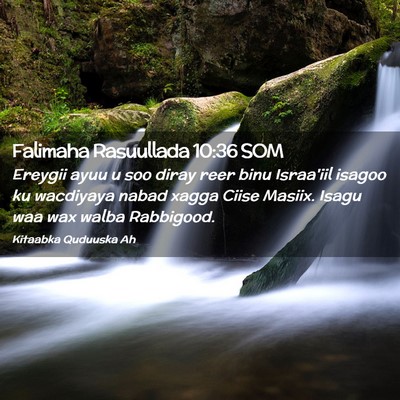 Picture 02 - Falimaha Rasuullada 10:36 SOM - Ereygii ayuu u soo diray reer binu Israa'iil - Bible Verse Picture