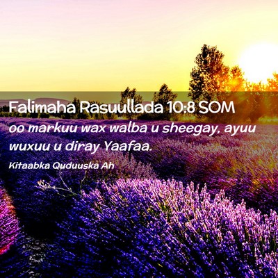 Picture 02 - Falimaha Rasuullada 10:8 SOM - oo markuu wax walba u sheegay, ayuu wuxuu u diray - Bible Verse Picture