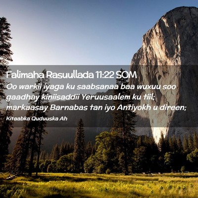 Picture 02 - Falimaha Rasuullada 11:22 SOM - Oo warkii iyaga ku saabsanaa baa wuxuu soo - Bible Verse Picture