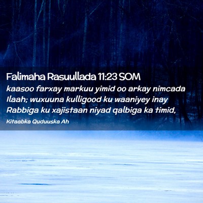 Picture 02 - Falimaha Rasuullada 11:23 SOM - kaasoo farxay markuu yimid oo arkay nimcada - Bible Verse Picture