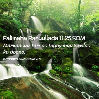 Picture 02 - Falimaha Rasuullada 11:25 SOM - Markaasuu Tarsos tegey inuu Sawlos ka - Bible Verse Picture