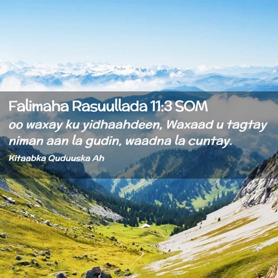 Picture 02 - Falimaha Rasuullada 11:3 SOM - oo waxay ku yidhaahdeen, Waxaad u tagtay niman - Bible Verse Picture