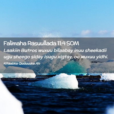 Picture 02 - Falimaha Rasuullada 11:4 SOM - Laakiin Butros wuxuu bilaabay inuu sheekadii ugu - Bible Verse Picture