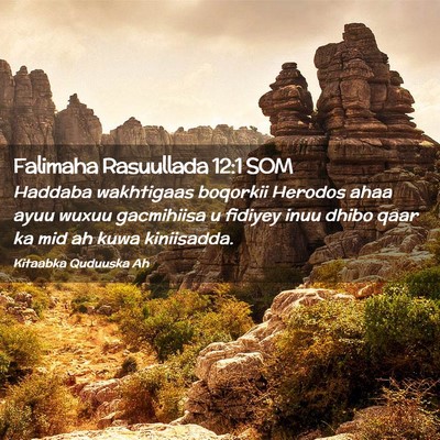 Picture 02 - Falimaha Rasuullada 12:1 SOM - Haddaba wakhtigaas boqorkii Herodos ahaa ayuu - Bible Verse Picture