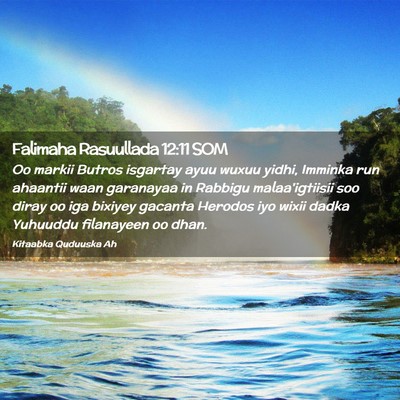 Picture 02 - Falimaha Rasuullada 12:11 SOM - Oo markii Butros isgartay ayuu wuxuu yidhi, - Bible Verse Picture