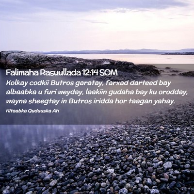 Picture 02 - Falimaha Rasuullada 12:14 SOM - Kolkay codkii Butros garatay, farxad darteed bay - Bible Verse Picture
