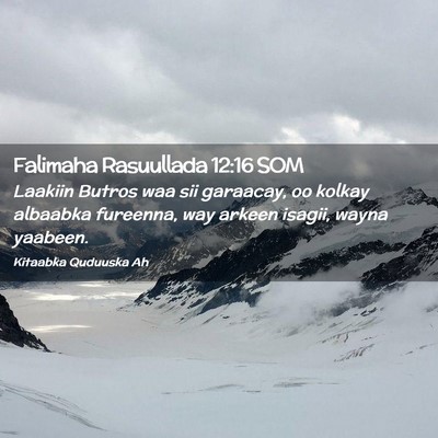 Picture 02 - Falimaha Rasuullada 12:16 SOM - Laakiin Butros waa sii garaacay, oo kolkay - Bible Verse Picture