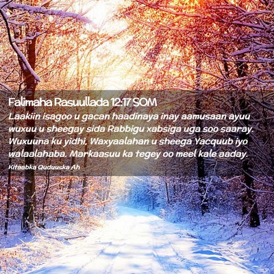 Picture 02 - Falimaha Rasuullada 12:17 SOM - Laakiin isagoo u gacan haadinaya inay aamusaan - Bible Verse Picture