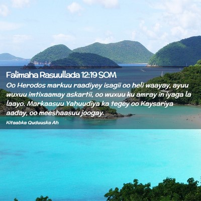Picture 02 - Falimaha Rasuullada 12:19 SOM - Oo Herodos markuu raadiyey isagii oo heli waayay, - Bible Verse Picture