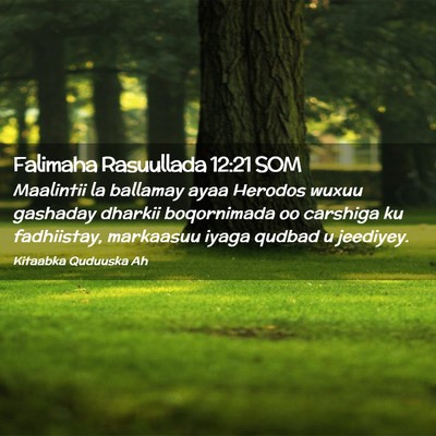 Picture 02 - Falimaha Rasuullada 12:21 SOM - Maalintii la ballamay ayaa Herodos wuxuu gashaday - Bible Verse Picture