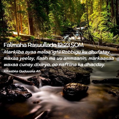 Picture 02 - Falimaha Rasuullada 12:23 SOM - Markiiba ayaa malaa'igtii Rabbigu ku dhufatay, - Bible Verse Picture