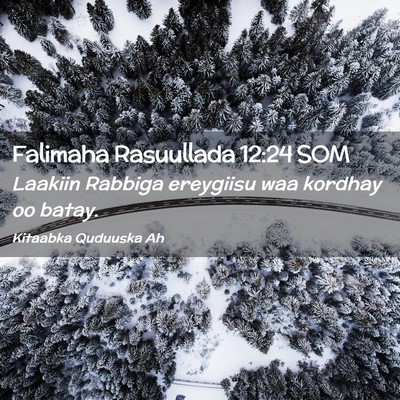 Picture 02 - Falimaha Rasuullada 12:24 SOM - Laakiin Rabbiga ereygiisu waa kordhay oo - Bible Verse Picture
