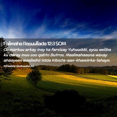 Picture 02 - Falimaha Rasuullada 12:3 SOM - Oo markuu arkay inay ka farxisay Yuhuuddii, ayuu - Bible Verse Picture