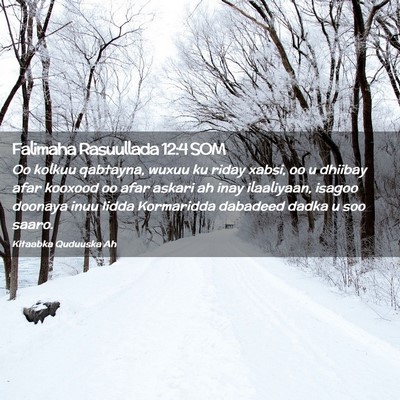 Picture 02 - Falimaha Rasuullada 12:4 SOM - Oo kolkuu qabtayna, wuxuu ku riday xabsi, oo u - Bible Verse Picture