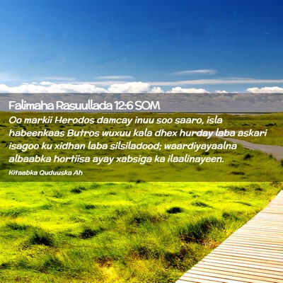 Picture 02 - Falimaha Rasuullada 12:6 SOM - Oo markii Herodos damcay inuu soo saaro, isla - Bible Verse Picture