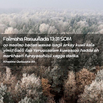 Picture 02 - Falimaha Rasuullada 13:31 SOM - oo maalmo badan waxaa isagii arkay kuwii kala - Bible Verse Picture