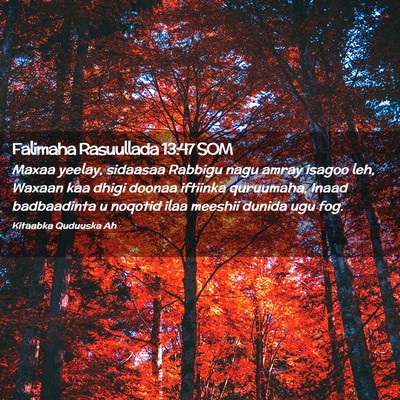 Picture 02 - Falimaha Rasuullada 13:47 SOM - Maxaa yeelay, sidaasaa Rabbigu nagu amray isagoo - Bible Verse Picture