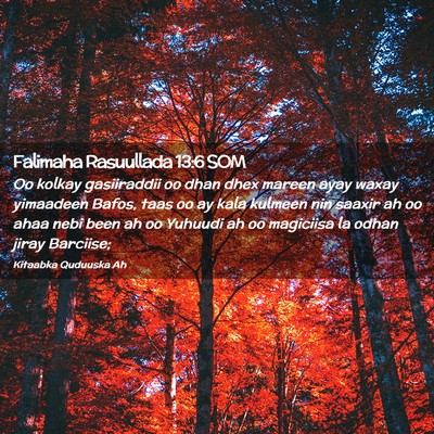 Picture 02 - Falimaha Rasuullada 13:6 SOM - Oo kolkay gasiiraddii oo dhan dhex mareen ayay - Bible Verse Picture