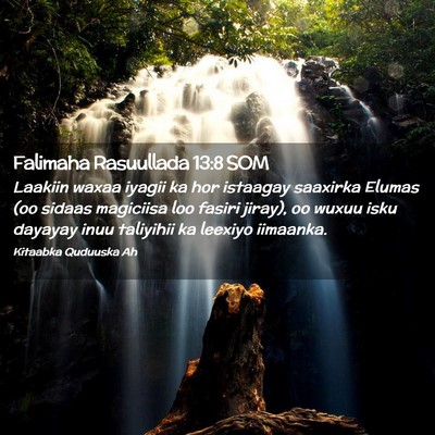Picture 02 - Falimaha Rasuullada 13:8 SOM - Laakiin waxaa iyagii ka hor istaagay saaxirka - Bible Verse Picture