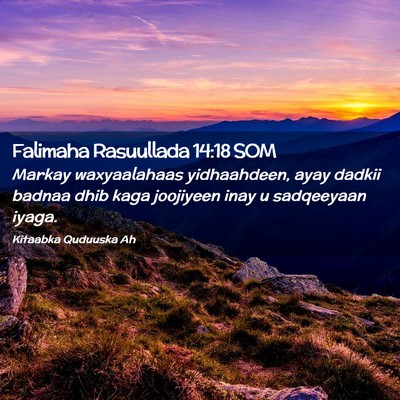 Picture 02 - Falimaha Rasuullada 14:18 SOM - Markay waxyaalahaas yidhaahdeen, ayay dadkii - Bible Verse Picture