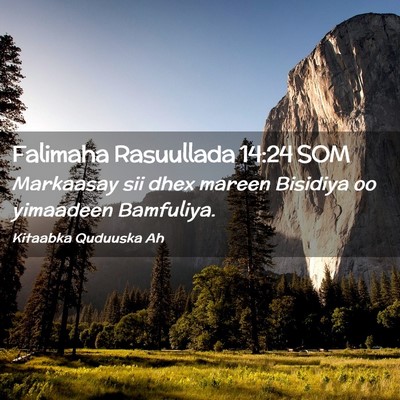 Picture 02 - Falimaha Rasuullada 14:24 SOM - Markaasay sii dhex mareen Bisidiya oo yimaadeen - Bible Verse Picture
