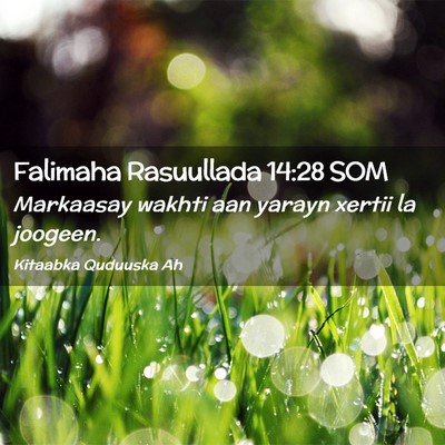 Picture 02 - Falimaha Rasuullada 14:28 SOM - Markaasay wakhti aan yarayn xertii la - Bible Verse Picture