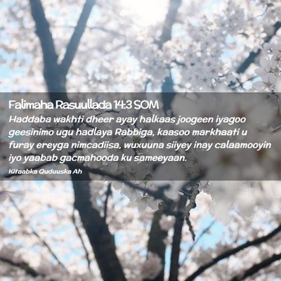 Picture 02 - Falimaha Rasuullada 14:3 SOM - Haddaba wakhti dheer ayay halkaas joogeen iyagoo - Bible Verse Picture