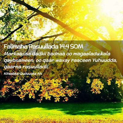 Picture 02 - Falimaha Rasuullada 14:4 SOM - Markaasaa dadkii badnaa oo magaaladu kala - Bible Verse Picture