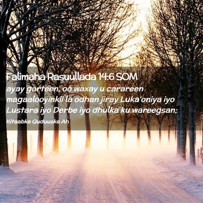 Picture 02 - Falimaha Rasuullada 14:6 SOM - ayay garteen, oo waxay u carareen magaalooyinkii - Bible Verse Picture