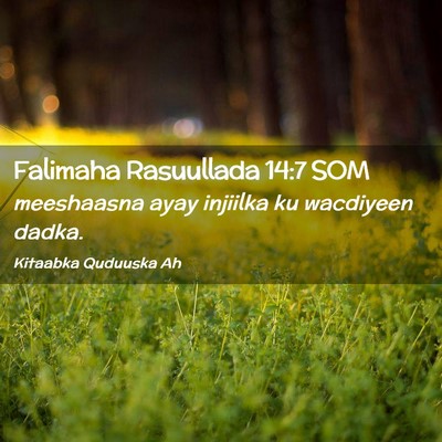 Picture 02 - Falimaha Rasuullada 14:7 SOM - meeshaasna ayay injiilka ku wacdiyeen - Bible Verse Picture