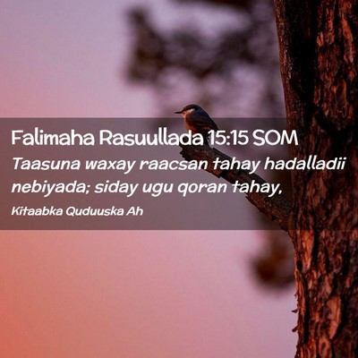 Picture 02 - Falimaha Rasuullada 15:15 SOM - Taasuna waxay raacsan tahay hadalladii nebiyada; - Bible Verse Picture