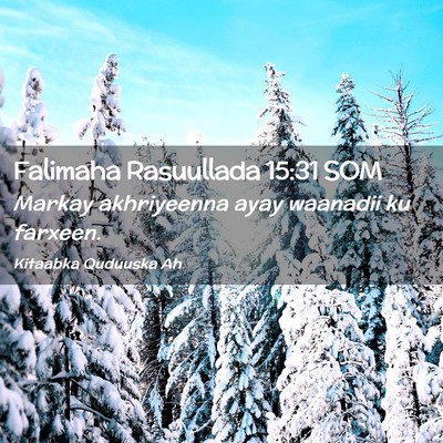 Picture 02 - Falimaha Rasuullada 15:31 SOM - Markay akhriyeenna ayay waanadii ku - Bible Verse Picture