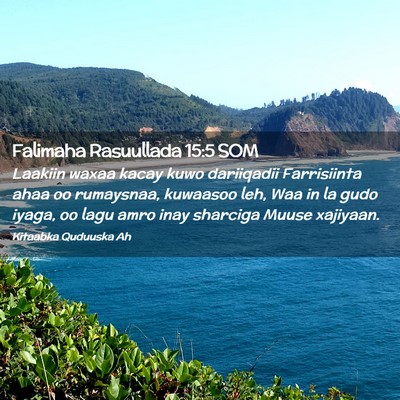 Picture 02 - Falimaha Rasuullada 15:5 SOM - Laakiin waxaa kacay kuwo dariiqadii Farrisiinta - Bible Verse Picture