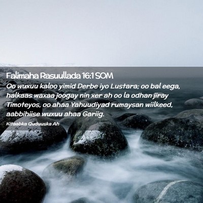 Picture 02 - Falimaha Rasuullada 16:1 SOM - Oo wuxuu kaloo yimid Derbe iyo Lustara; oo bal - Bible Verse Picture