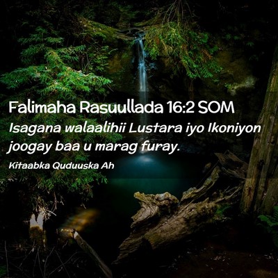 Picture 02 - Falimaha Rasuullada 16:2 SOM - Isagana walaalihii Lustara iyo Ikoniyon joogay - Bible Verse Picture