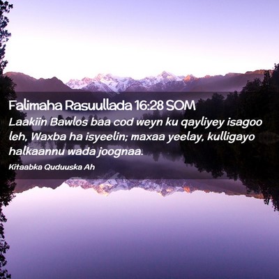 Picture 02 - Falimaha Rasuullada 16:28 SOM - Laakiin Bawlos baa cod weyn ku qayliyey isagoo - Bible Verse Picture