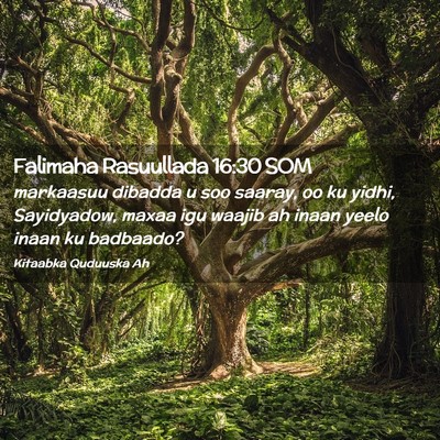 Picture 02 - Falimaha Rasuullada 16:30 SOM - markaasuu dibadda u soo saaray, oo ku yidhi, - Bible Verse Picture
