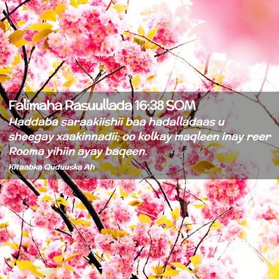 Picture 02 - Falimaha Rasuullada 16:38 SOM - Haddaba saraakiishii baa hadalladaas u sheegay - Bible Verse Picture