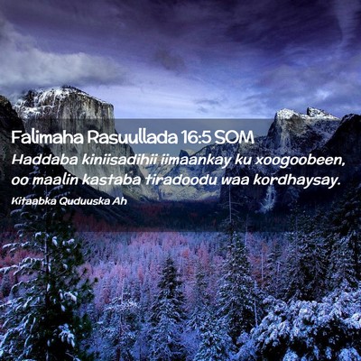 Picture 02 - Falimaha Rasuullada 16:5 SOM - Haddaba kiniisadihii iimaankay ku xoogoobeen, oo - Bible Verse Picture