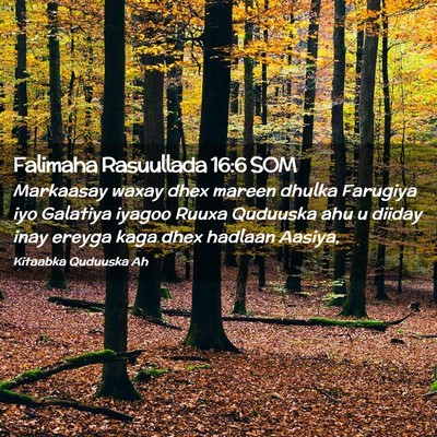 Picture 02 - Falimaha Rasuullada 16:6 SOM - Markaasay waxay dhex mareen dhulka Farugiya iyo - Bible Verse Picture