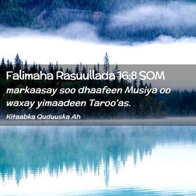 Picture 02 - Falimaha Rasuullada 16:8 SOM - markaasay soo dhaafeen Musiya oo waxay yimaadeen - Bible Verse Picture