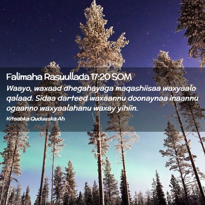 Picture 02 - Falimaha Rasuullada 17:20 SOM - Waayo, waxaad dhegahayaga maqashiisaa waxyaalo - Bible Verse Picture