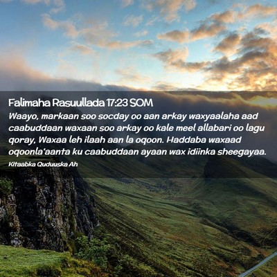 Picture 02 - Falimaha Rasuullada 17:23 SOM - Waayo, markaan soo socday oo aan arkay waxyaalaha - Bible Verse Picture