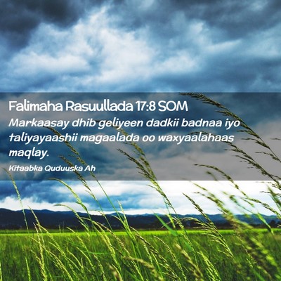 Picture 02 - Falimaha Rasuullada 17:8 SOM - Markaasay dhib geliyeen dadkii badnaa iyo - Bible Verse Picture