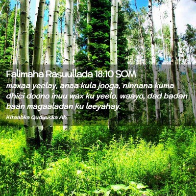 Picture 02 - Falimaha Rasuullada 18:10 SOM - maxaa yeelay, anaa kula jooga, ninnana kuma dhici - Bible Verse Picture
