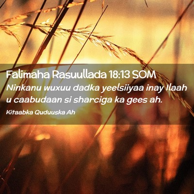 Picture 02 - Falimaha Rasuullada 18:13 SOM - Ninkanu wuxuu dadka yeelsiiyaa inay Ilaah u - Bible Verse Picture