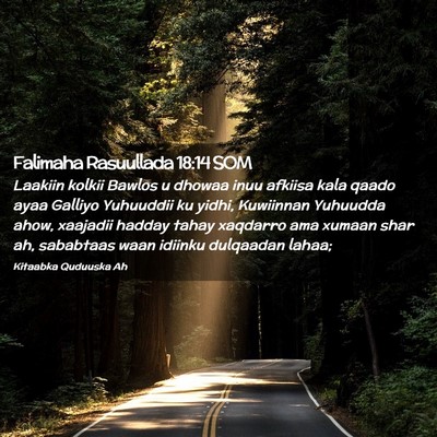 Picture 02 - Falimaha Rasuullada 18:14 SOM - Laakiin kolkii Bawlos u dhowaa inuu afkiisa kala - Bible Verse Picture